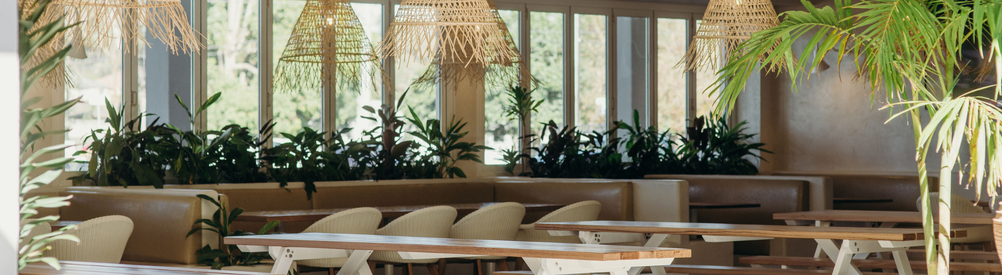 Untitled (2000 x 550 px)