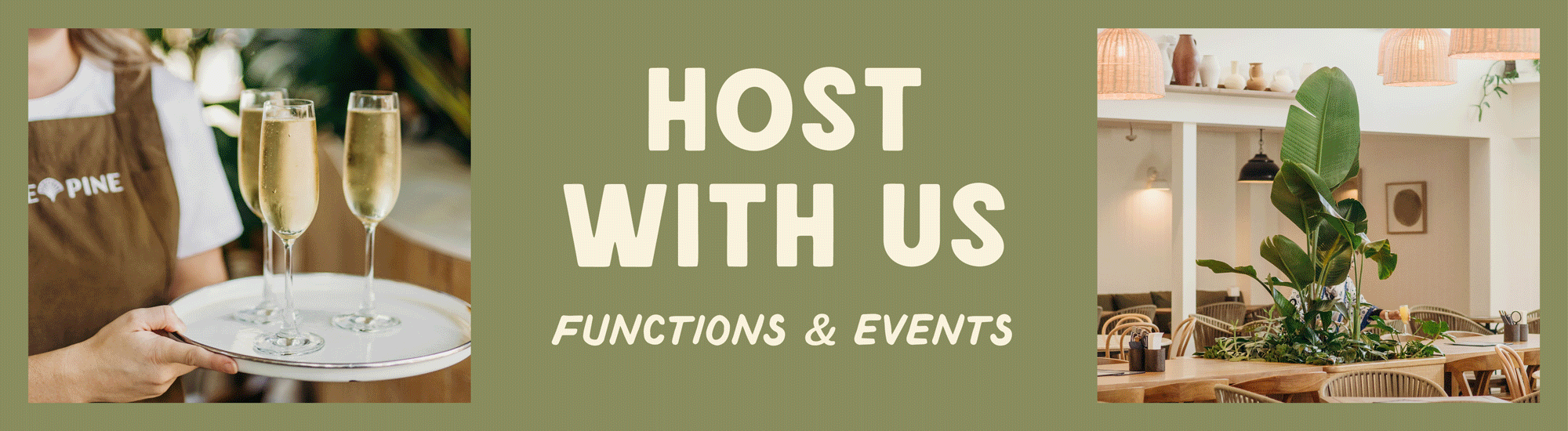 LPT381_LonePine_WebHeader_241112